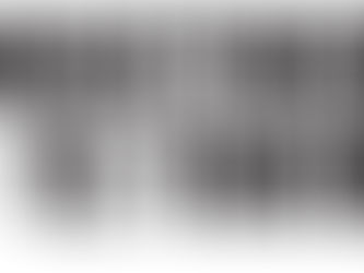 Logo: Together for te Tiriti