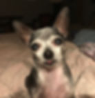 MP.closeup.jpeg
