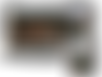 O SERTÃO GANHA VOZ EM REUNIÃO COM LÍDERES GLOBAIS