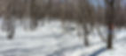 9CEC1087-C563-418E-8899-3D2A0E2A26C1_L0_001-4_20_2023, 6_59_05 PM.jpg
