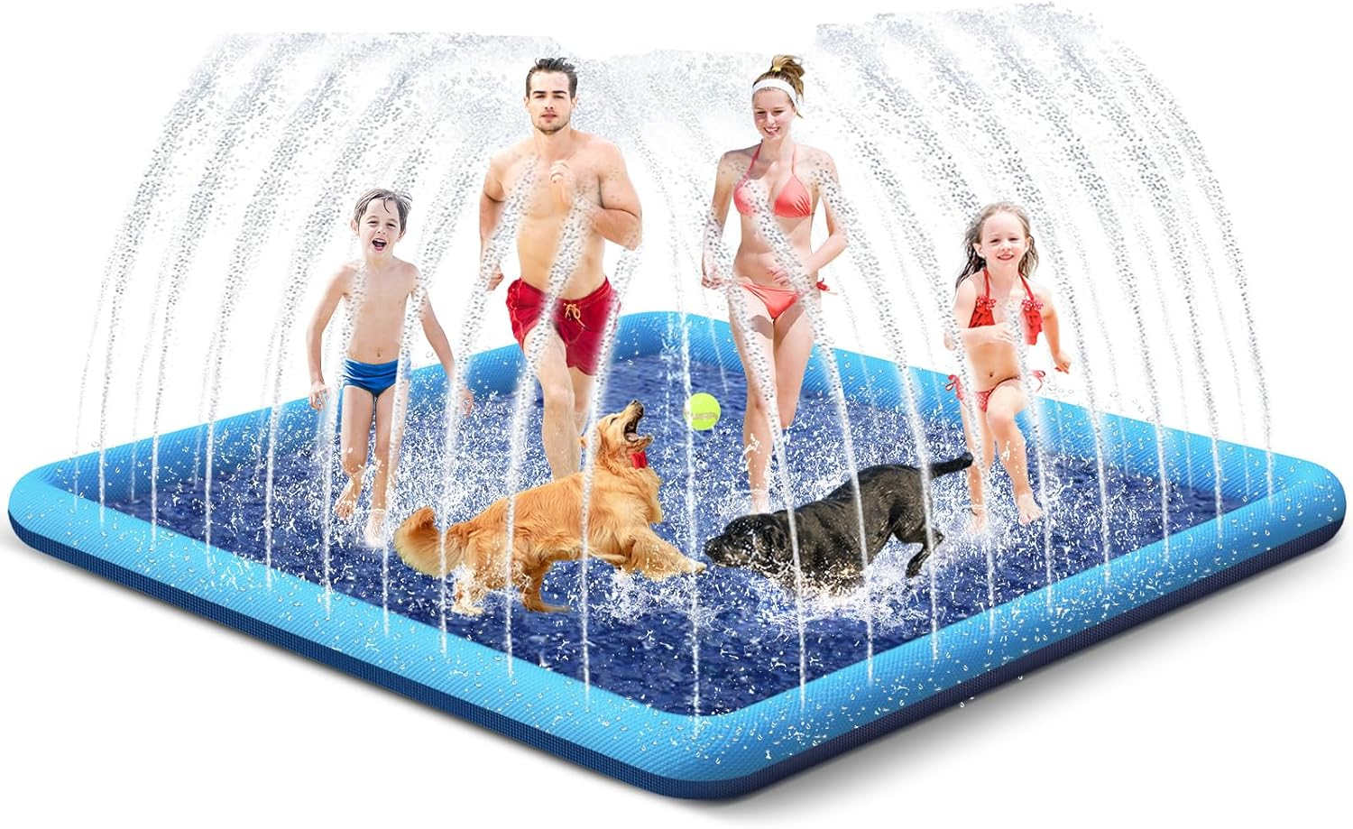 Purchase on Amazon