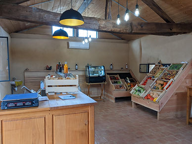 PXL_20220916_140420911.jpg