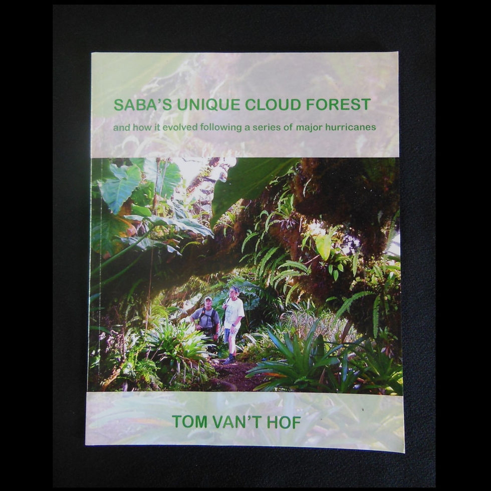 Saba's unique Cloud Forest