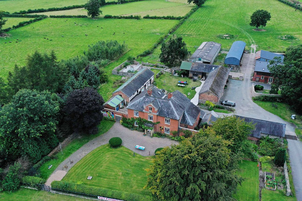 Pottery and Printmaking