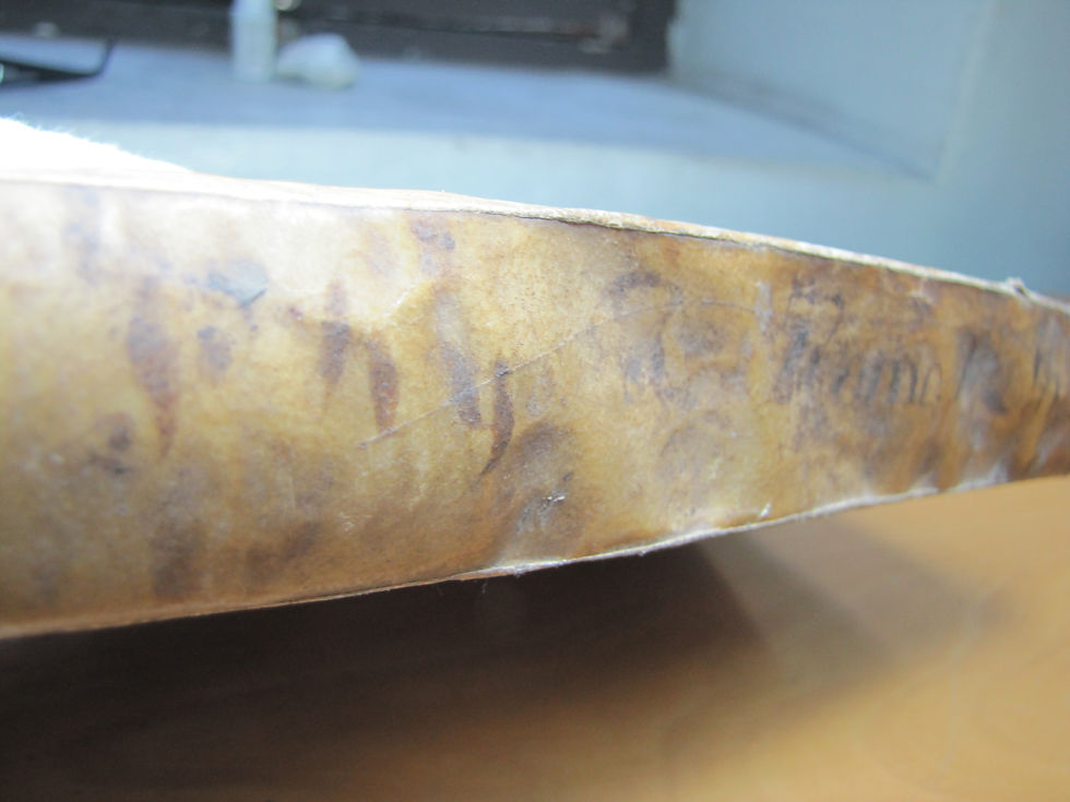 Lorenzo Romo S. J., Phys. contra Thom., 1739 (ms. 1335, F.A., AHME, Santiago de Chile).