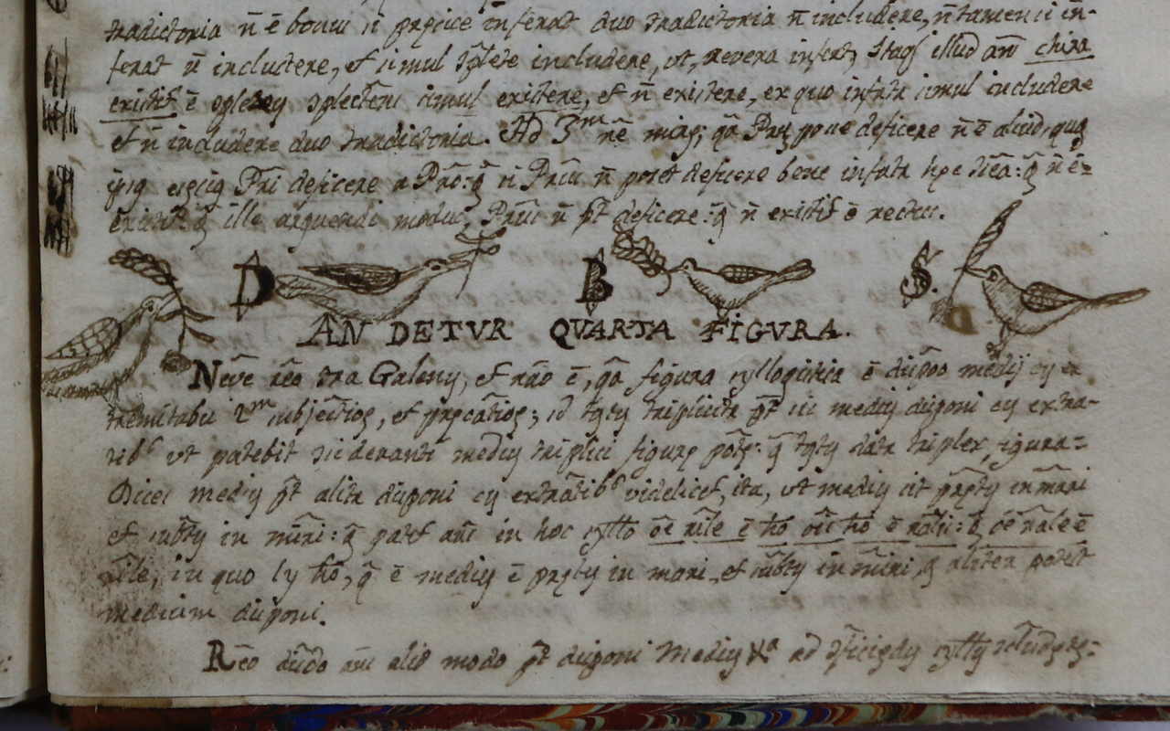 Details f. 229r