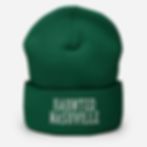 Thumbnail: Haunted Nashville Cuffed Beanie