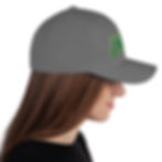 Thumbnail: Haunted Nashville Twill Cap