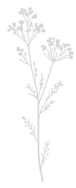 the-yarrow-illustration-dark-green_edite