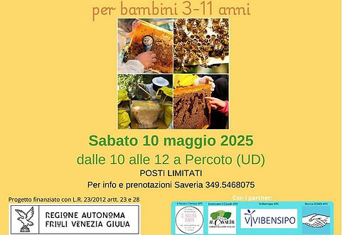 Immagine WhatsApp 2025-09-13 ore 18.08.20_a1ec6315--1.jpg