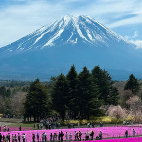 3 jours autour du Mont Fuji : nature, liberté et coup de cœur total