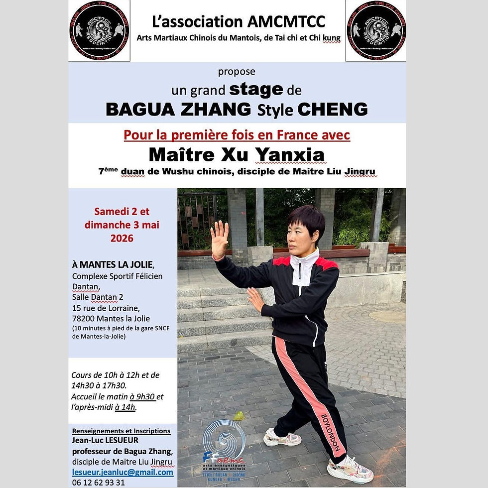STAGE BAGUA ZHANG 28