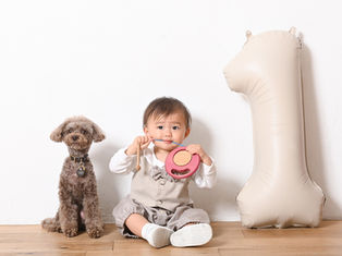 1歳のお誕生日撮影の男の子とトイプードル
