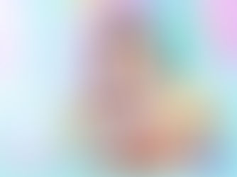7月イベント・撮影のご案内🎐