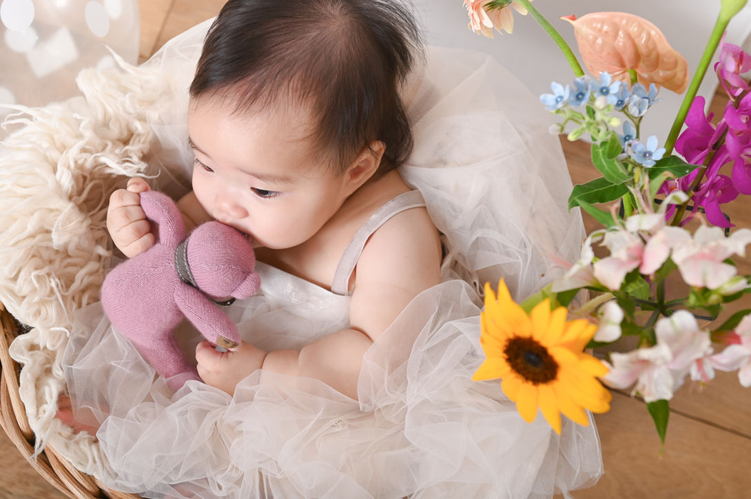 月島のフォトスタジオで撮影したハーフバースデー写真