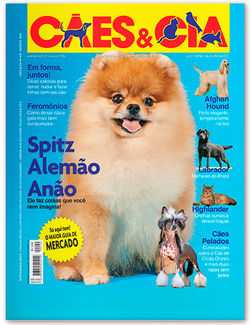 White Dove Ganache Assisi "Ganache"