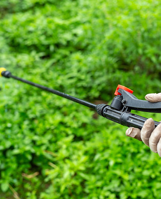 gardeners-are-spraying.jpg