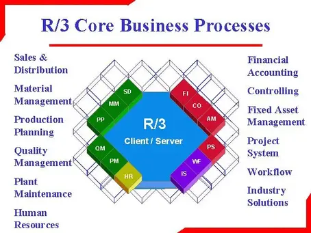 SAP/ R3 LION.CC FULFILMENT 2000/01