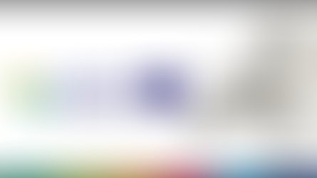 Reintegration of the Government of Bosnia and Herzegovina - EU Programm CARDS- 2002/03