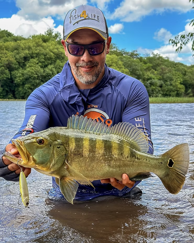 The A-PEN90 was originally developed for Brazilian peacock bass, and of course, it's still performing exceptionally well.