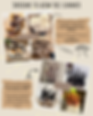 Summer mushrooms guide 2025.png