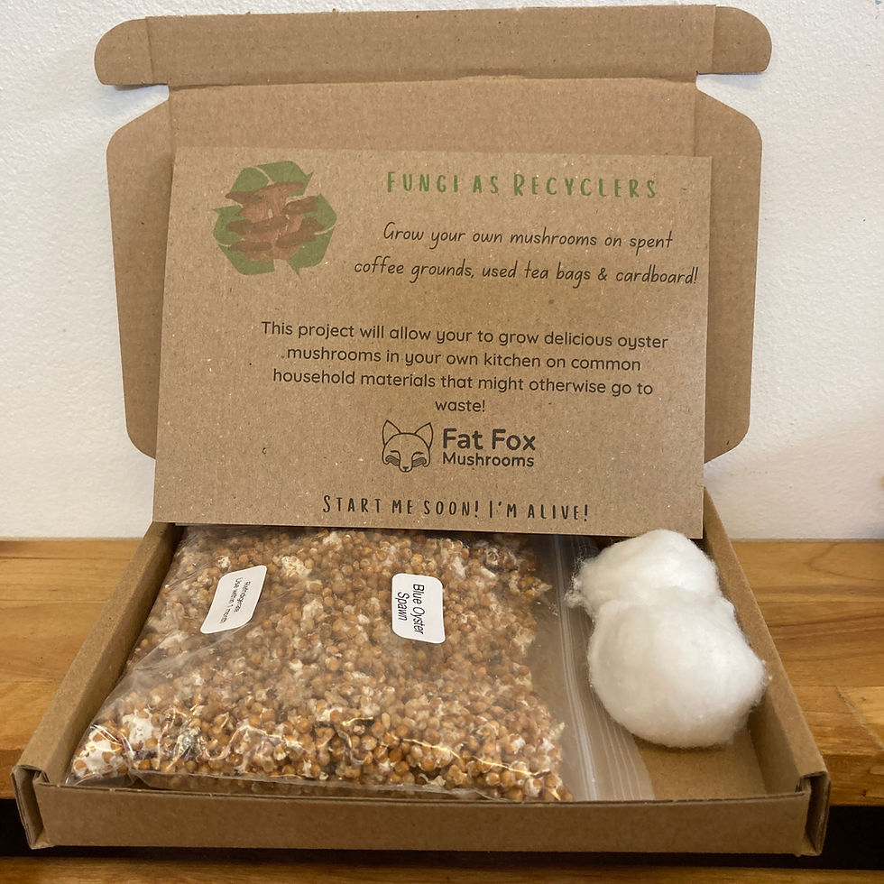 Thumbnail: Tea & Coffee Recycling Kit  - Oyster Mushroom Spawn