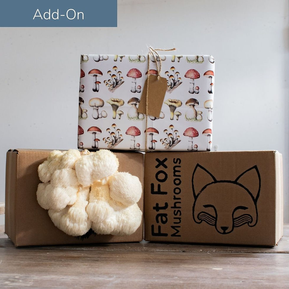 Thumbnail: Lion's Mane Mushroom Ready-To-Grow Kit