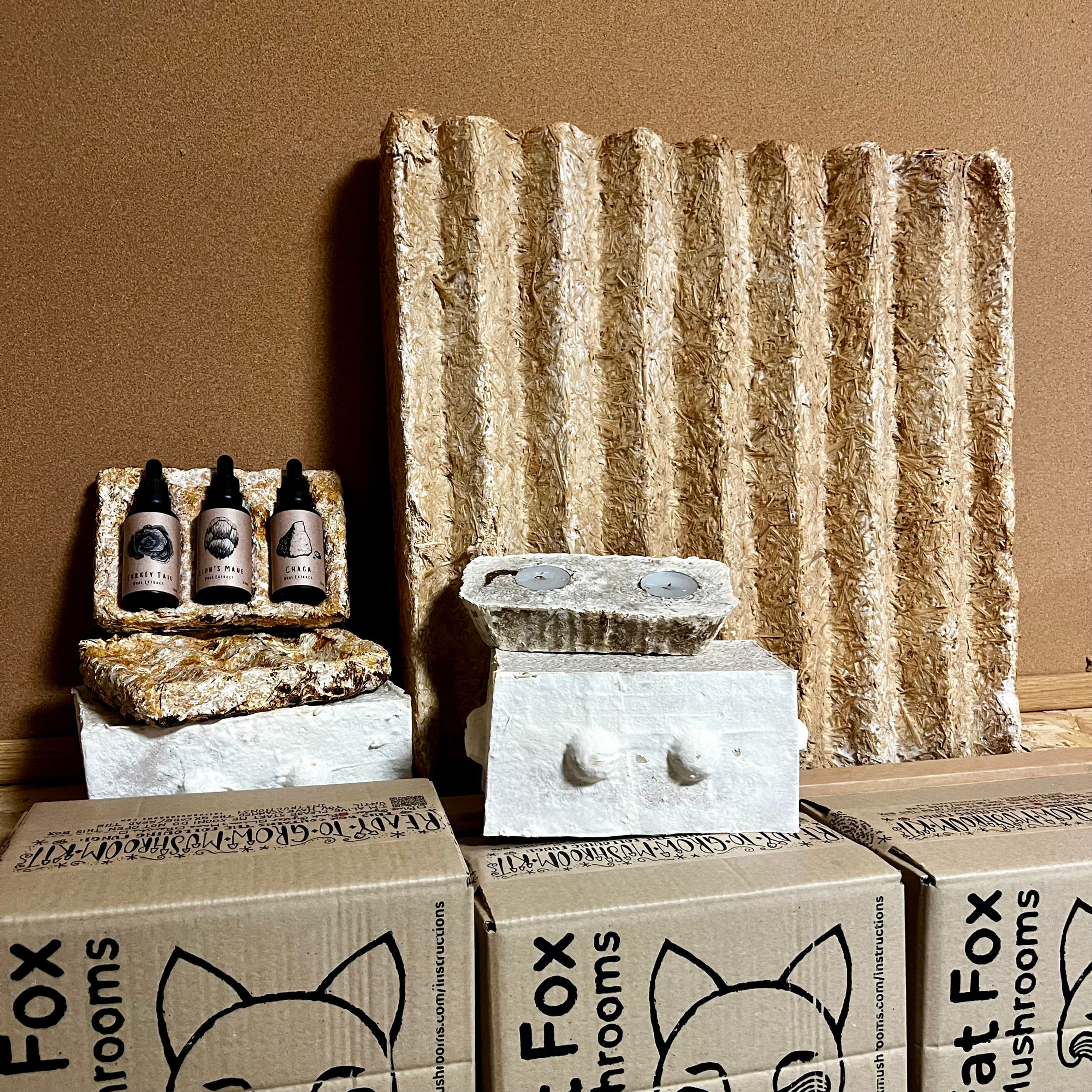 Making With Mycelium - Mycomaterials Bundle