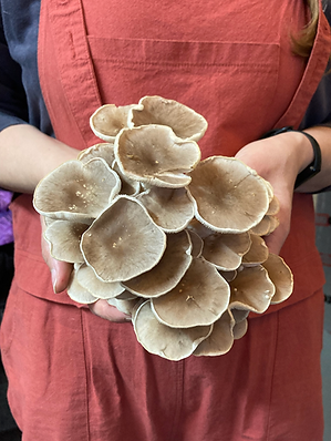 Tarragon Oyster Holding 2.png