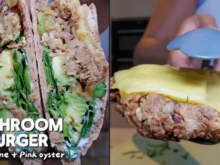 A picture showing mushroom burger patties made from lion's mane and pink oyster mushrooms