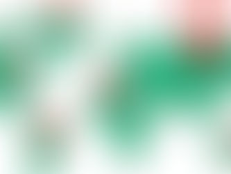 #37 | Geopricing