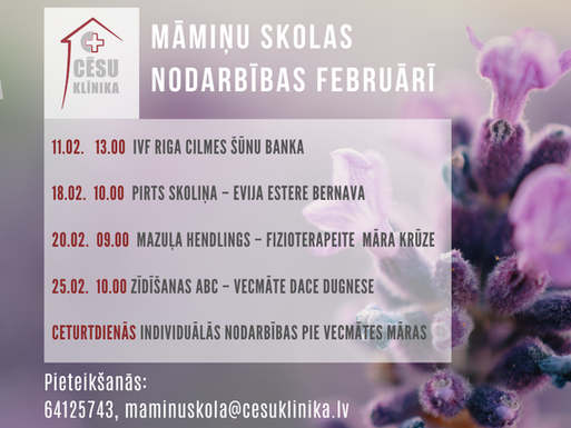 Māmiņu skolas nodarbību programma februārim