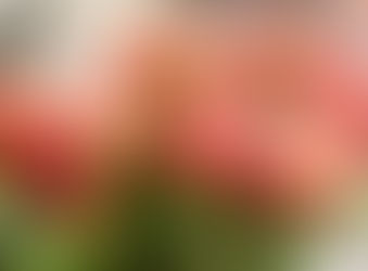 Sieviešu dienā kolēģi sarūpējuši pārsteigumu dāmām