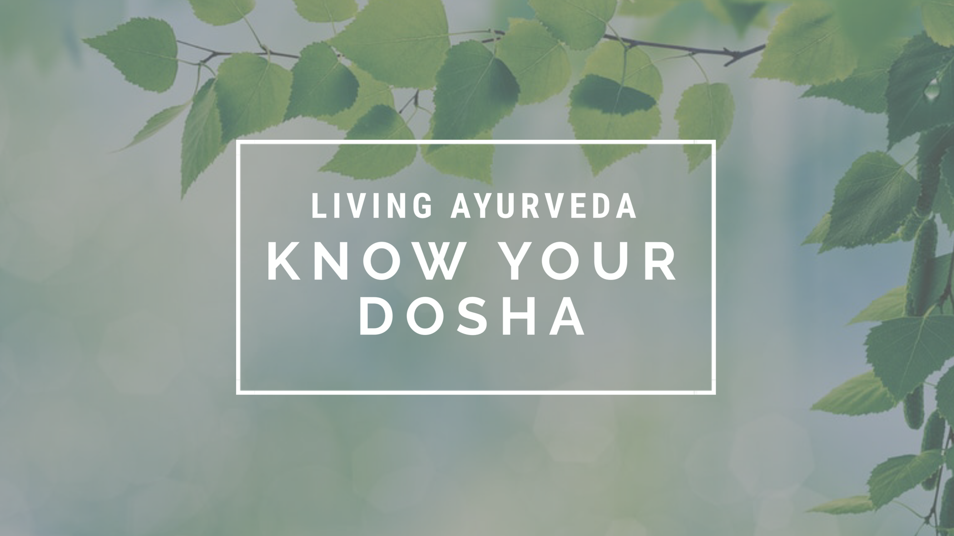 Living Ayurveda Know Your Dosha