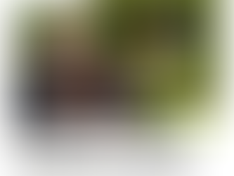 Нові навчальні матеріали для предмета «Захист України» — у  гейміфікованому форматі.