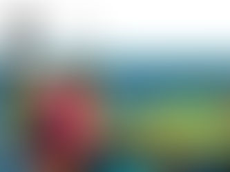 Miami Foiling School