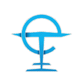 e-foilusa logo