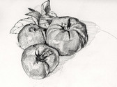 image3.jpeg