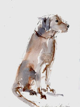 image5.jpeg