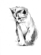 image12.jpeg