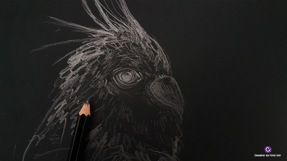 7 astuces pour dessiner sur fond noir