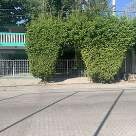 🏡 CASA EN VENTA – IDEAL PARA ESCUELA, OFICINAS O CASA HABITACIÓN
📍 Ubicación privilegiada, a cuadra y media de la carretera 70 (San Luis Potosí-Tampico), en una zona estratégica con gran potencial para diferentes usos.

Características del inmueble:
📐 Terreno: 600 m² (15 m de frente x 40 m de fondo)
🏠 Construcción: 430 m²
🔹 Planta Baja: 251 m²
🔹 Planta Alta: 179 m²

Distribución:
🔹 Planta Baja:
✅ Estacionamiento techado para 2 vehículos con reja y área verde frontal
✅ Cámara de vigilancia con vista a la cochera
✅ Estancia/recibidor, cuarto de TV, sala y comedor (con ventiladores de techo)
✅ Cocina con cocineta, alacena, desayunador y barra
✅ 3 recámaras con clósets (principal muy amplia y 2 con minisplit)
✅ Baño completo con regadera y jacuzzi
✅ Local comercial de 60 m² aprox. con cortina de acero, oficina y baño completo
✅ Amplísimo jardín de 280 m² con terraza exterior y área de tendido
✅ Cuarto de lavandería (posible cuarto de servicio)

🔹 Planta Alta:
✅ Biblioteca
✅ 3 recámaras con clósets
✅ Baño completo
✅ Terraza interior
✅ Salón o área de recreación
✅ 2 amplias terrazas con vista a la calle La Pez
✅ Escalera exterior con acceso independiente a la planta alta
✅ Escalera al techo

🛠 Servicios al corriente, predial pagado.

📞 ¡Contáctanos para más información o agendar una visita!