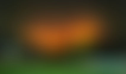 Helping the burn victims of the Tepoztlan fires in Mexico