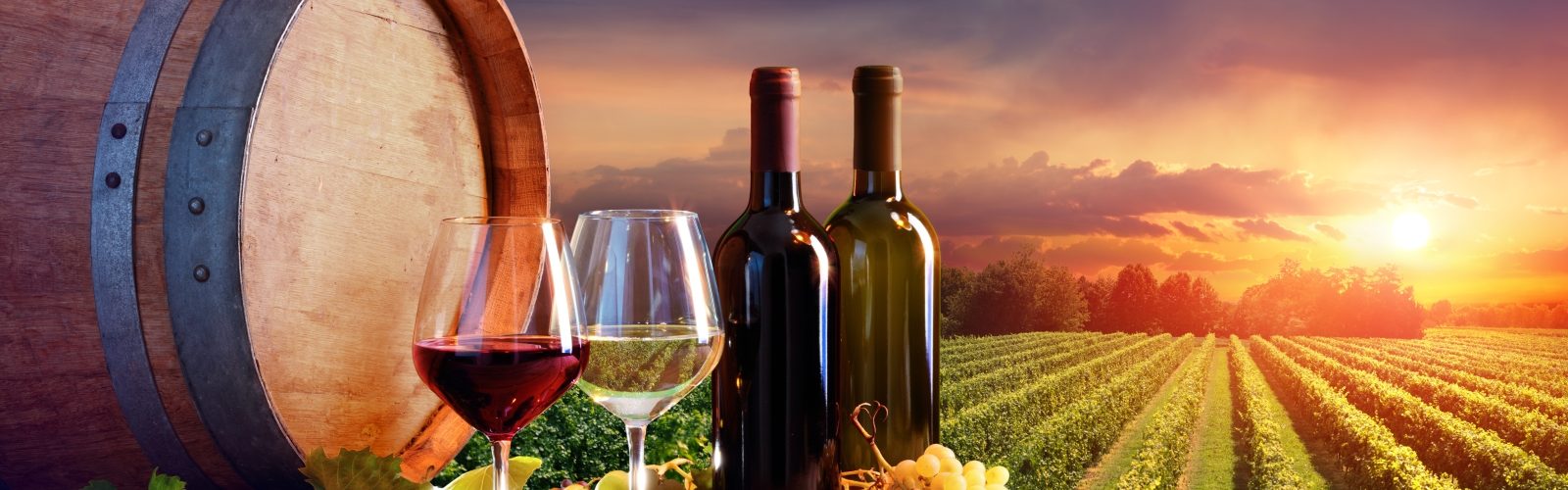 Arranged Food and Objects