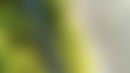アイツタキマラソンを詳しく紹介　世界の果ての楽園を走る！