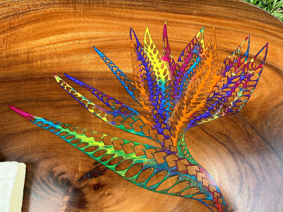 305299847_1359307054473126_2769038909842342056_n