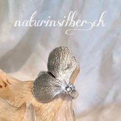 Hortensia klein 190.-