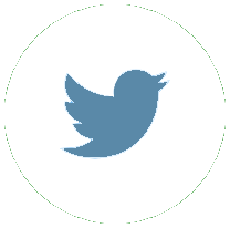 Copie de Picto_Twit