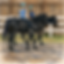 3F39BEA9-4127-4450-A2DC-ED744241FDC1.png