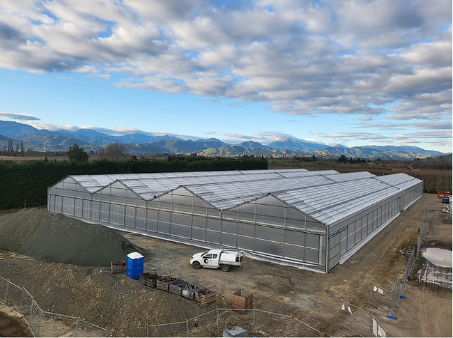 commercial-greenhouse-steel-frame.jpg